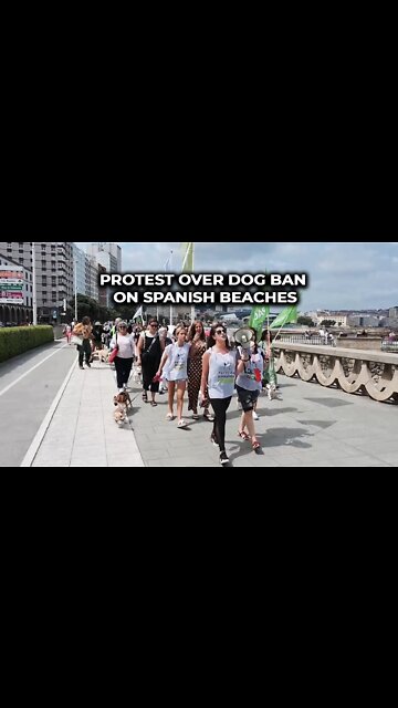Protest over dog ban on Spanish beaches
