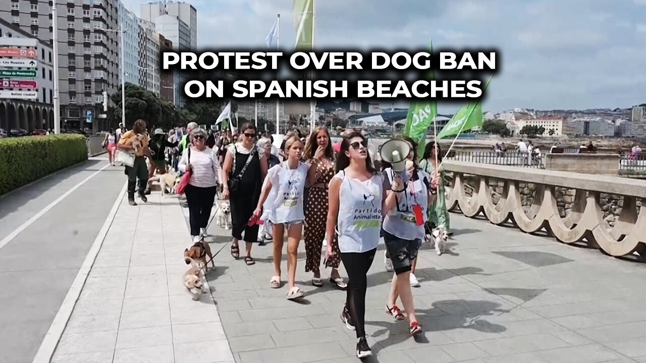 Protest over dog ban on Spanish beaches