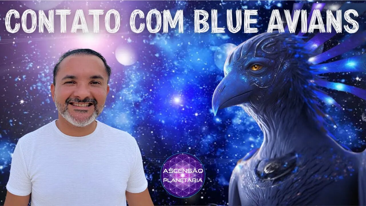 Contato com Blue Avians