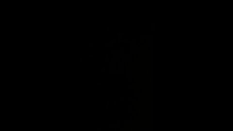 Liberal corporations