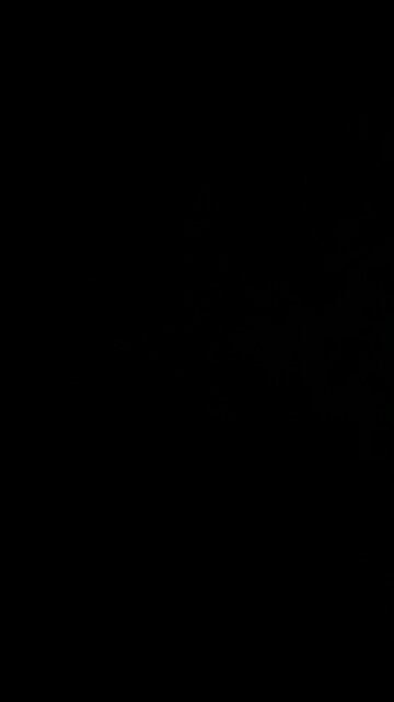 Hunter Biden arrested