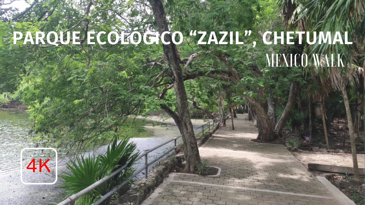 "Zazil" Ecological Park - Chetumal - Quintana Roo- 4K