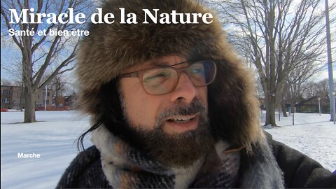 Miracle de la Nature : La Marche