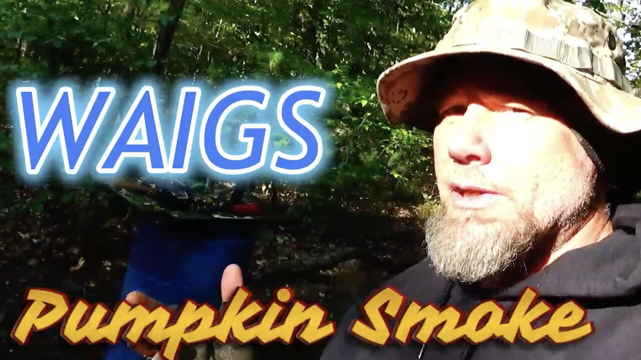 WAIGS Pumpkin Smoke