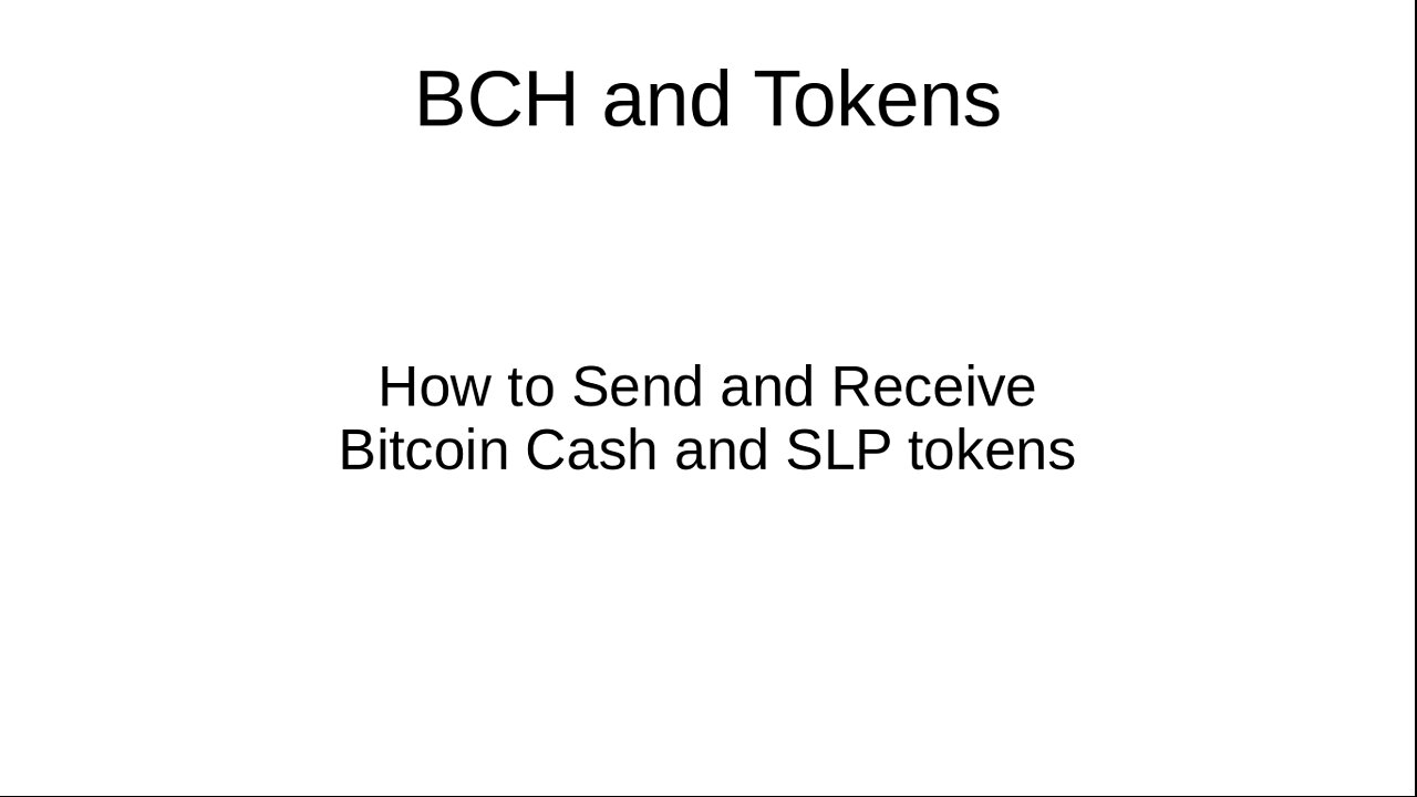 How to Send BCH & Tokens