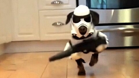 Dog stormtrooper: Star Wars episode 9