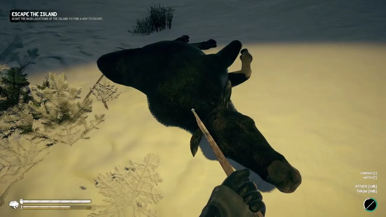 Observation Tower and 35 Minutes Of Walking! Northern Lights Story Mode S1EP4