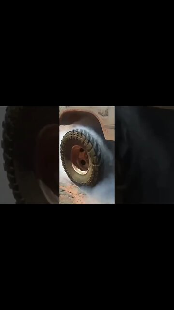 Kamel doing her favorite exercise