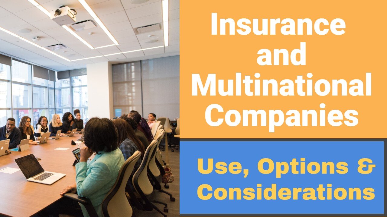 Insurance and Multinational Companies (Use, Options and Considerations)