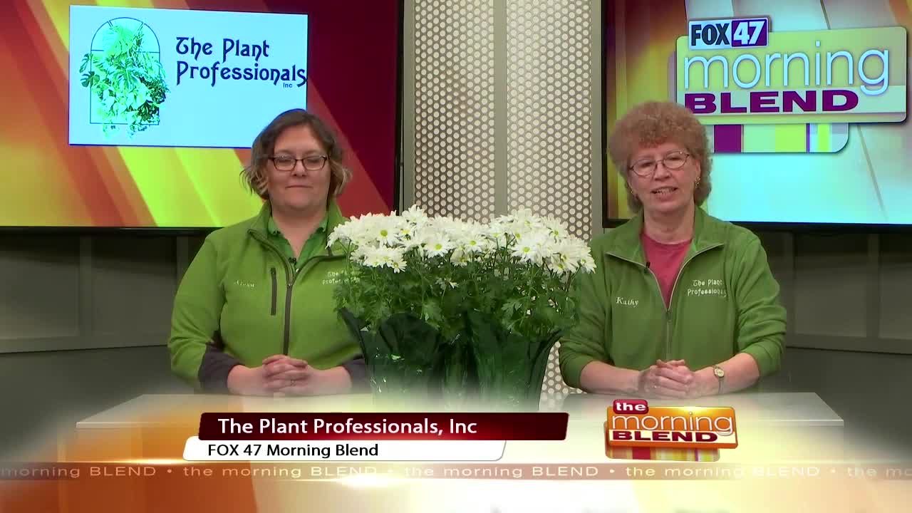 The Plant Professionals - 3/25/20