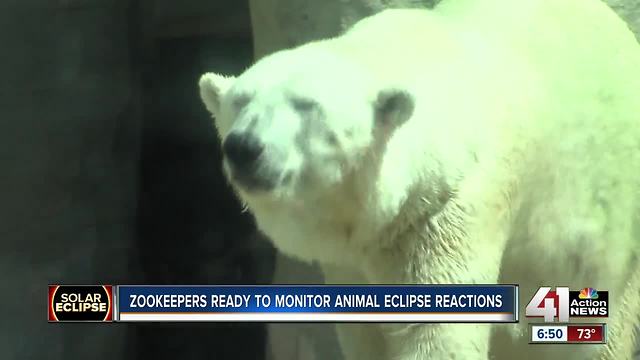 KC zookeepers eager to see how animals behave during solar eclipse