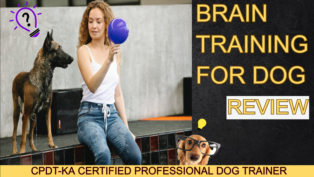 Brain Training for Dogs - 🛑Don't Buy Until You WatchThis ''Turn Your Dog into a Genius''!