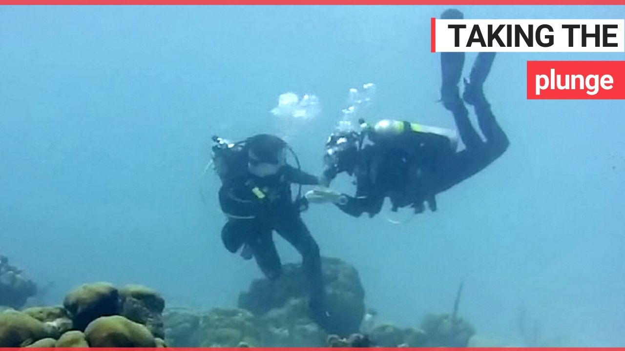 Man proposes to his girlfriend 30ft underwater in the Caribbean