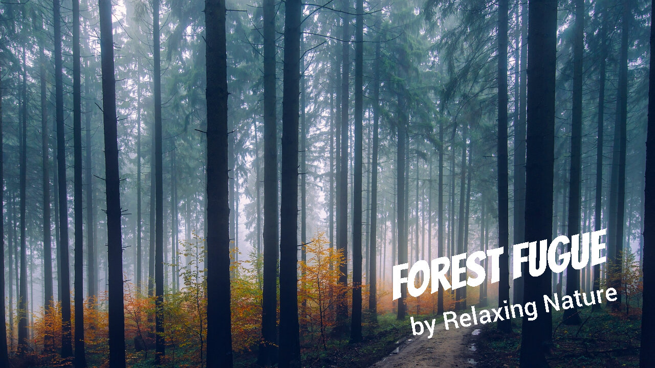 Forest Fugue – 60 minutes of Beautiful, Relaxing Music for Study, Work, Meditation, Sleep