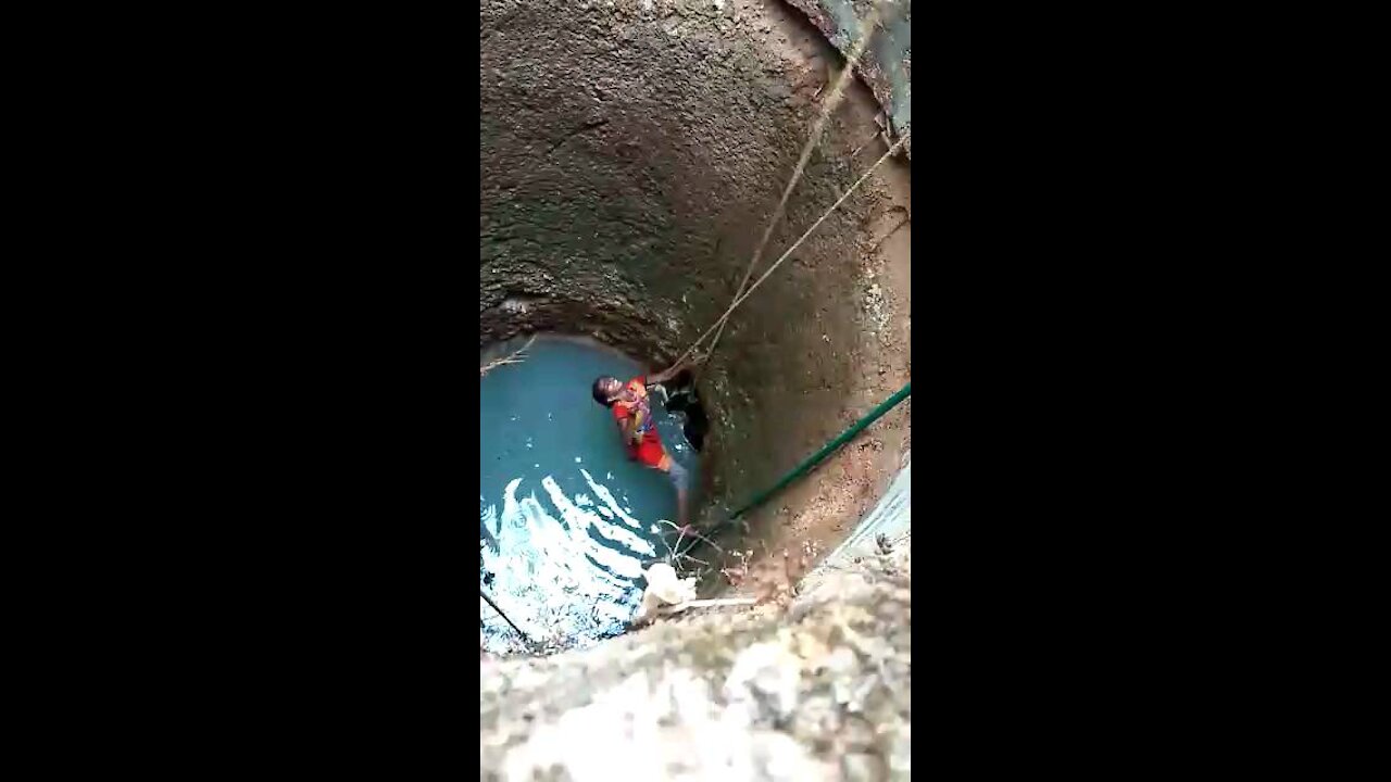 Woman rescue dog from Indian well(Kuan)