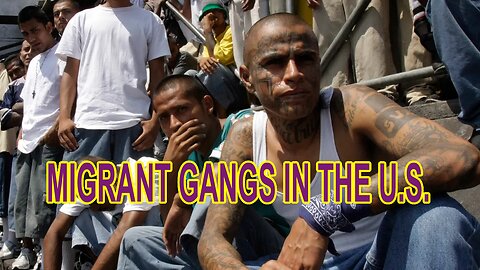 MIGRANT GANGS IN THE U.S.