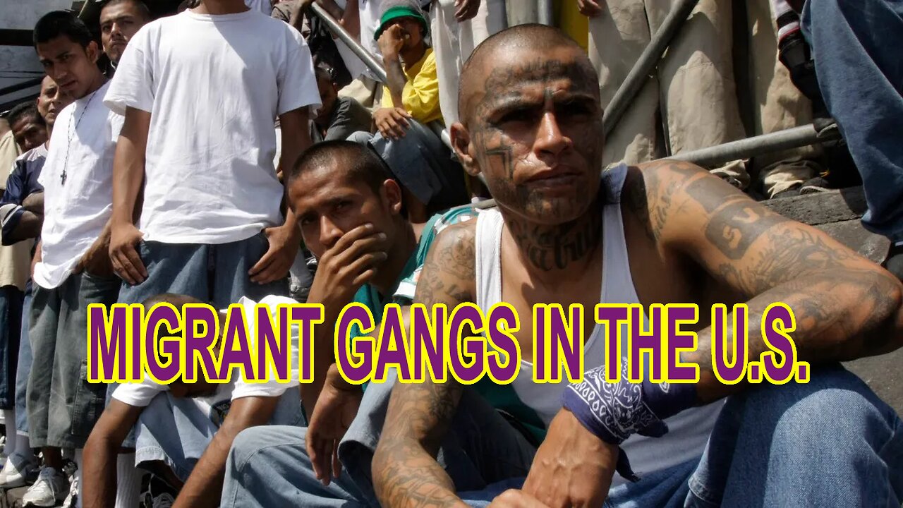 MIGRANT GANGS IN THE U.S.