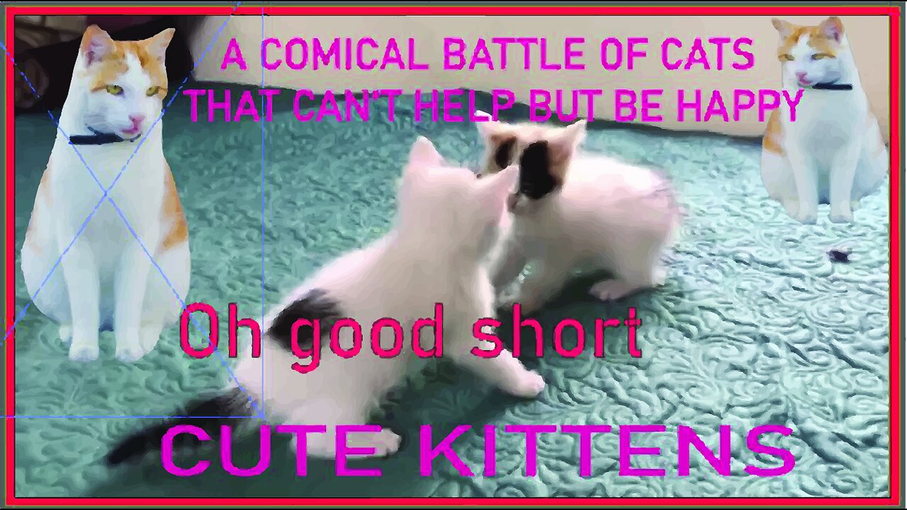 KITTEN BATTLE