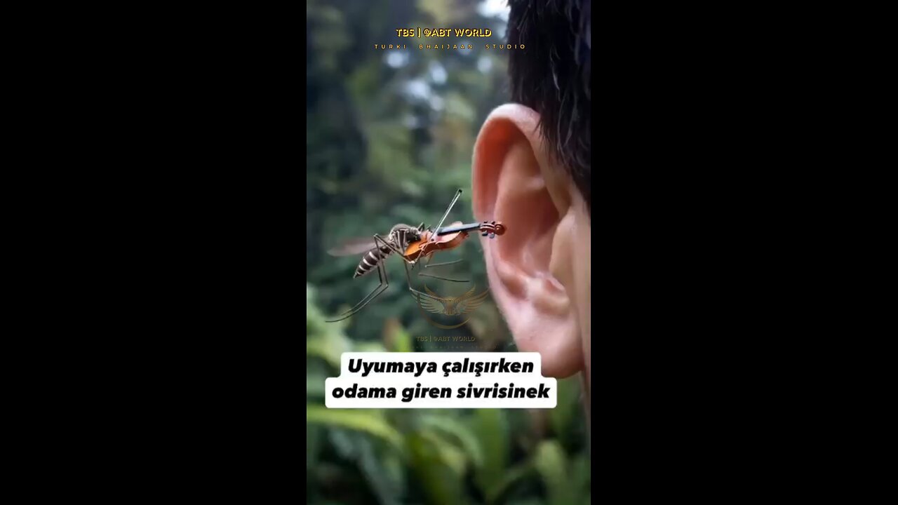 mosquito 🦟 violence music 🎶 created by TurkiBhaijaan studio Ai