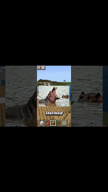 Hippo Storms into your house