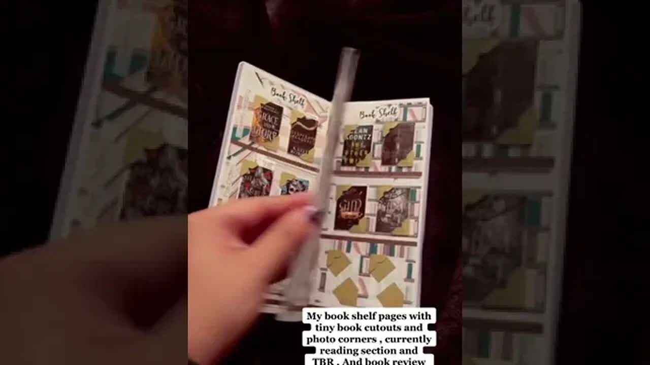 Reading Planner Tiktok mikkimouse14