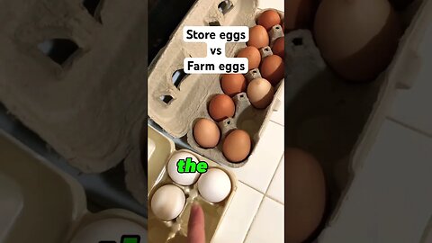 Store eggs vs Farm eggs 🥚 #shorts