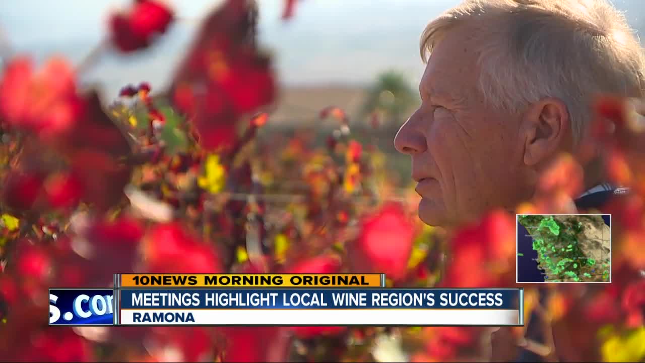 Wine experts show respect for San Diego wine region
