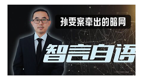 2024/09/10 孙雯案引出的惊人网络