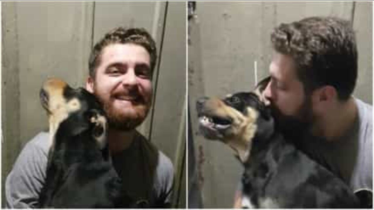 キスを全く楽しんでいない犬