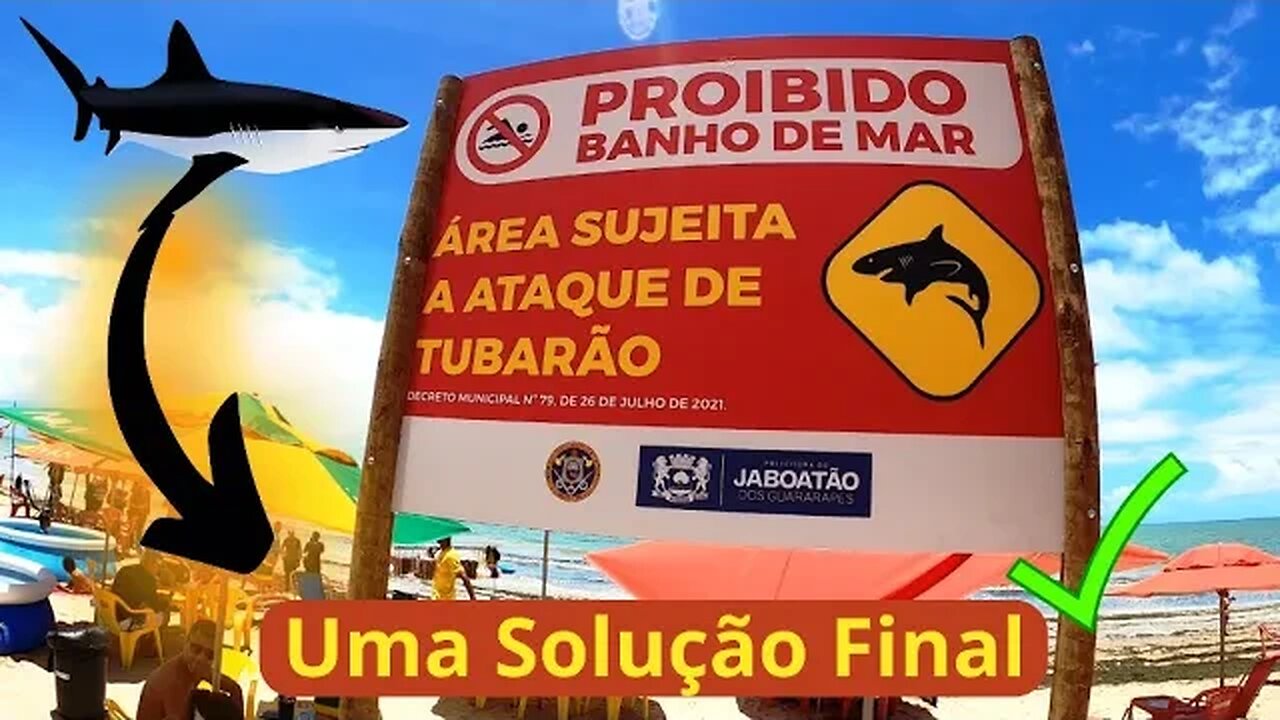 TUBARÕES OFF - A Melhor e Mais Próspera Solução para Acabar Com os Ataques AQUI #tubarão #shark