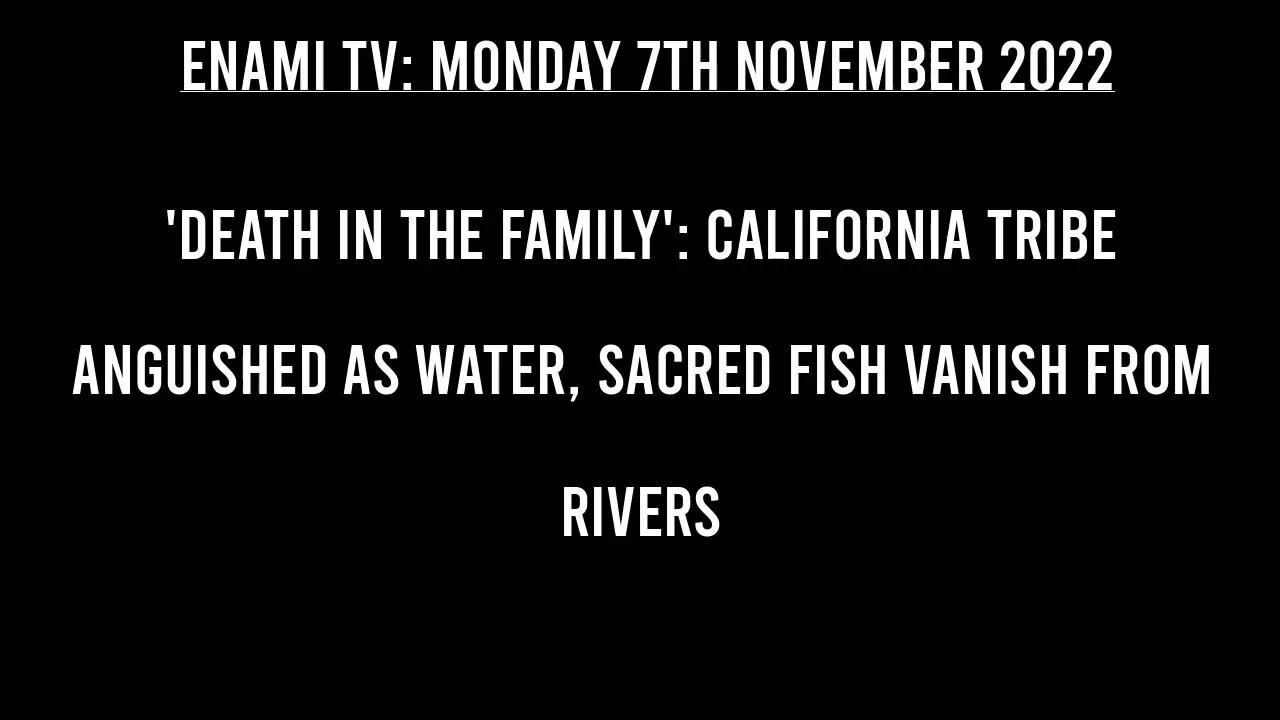 'Death in the family': California tribe anguished as water, sacred fish vanish from rivers