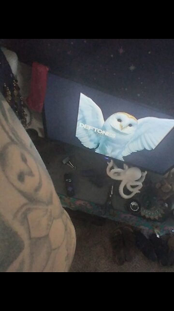 How to liven up any bathroom shower curtain