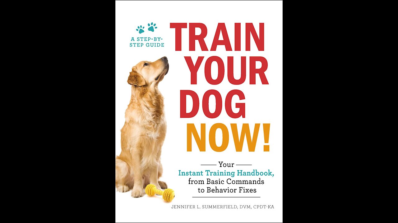 FREE DOG TRAINING SERIES – Lesson 1: how to teach your dog to sit and drop