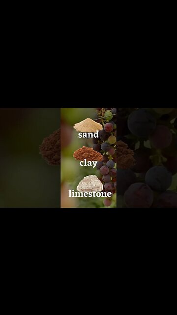 Saint-Émilion Grand Cru from Château Tour du Cauze 🍷🔔