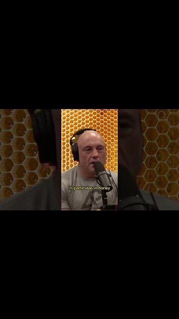 They used to store psychedelic mushrooms in honey - Erika Thompson & Joe Rogan