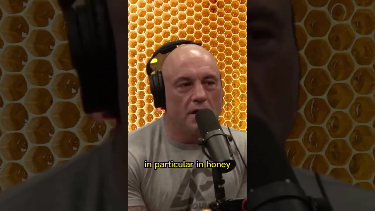 They used to store psychedelic mushrooms in honey - Erika Thompson & Joe Rogan