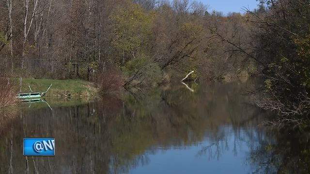 Great Outdoors: Coho salmon spawning in Kewaunee