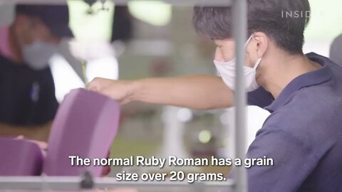 Ruby Roman Grapes Are So Expensive