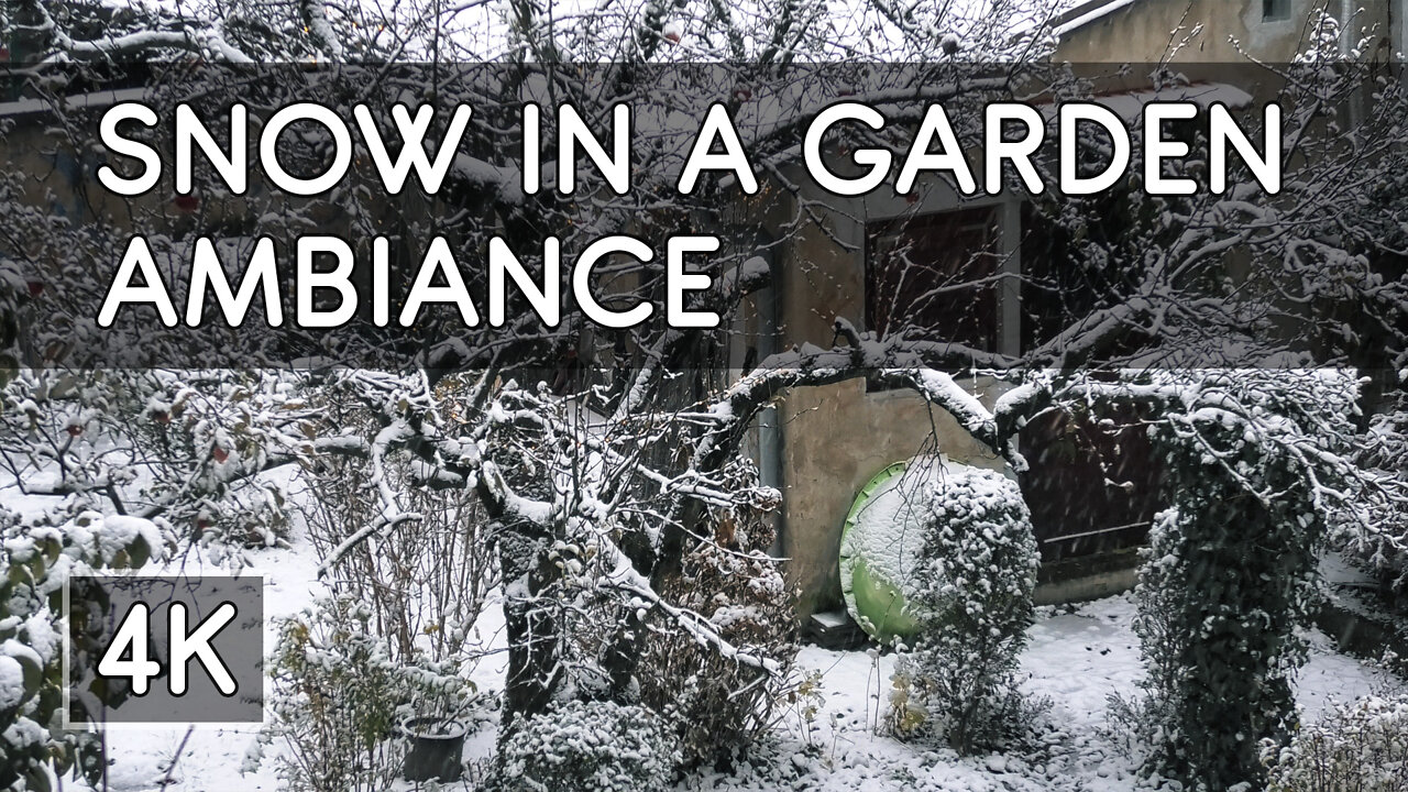 Ambiance: Snow Falling in a Garden with Soothing Piano Music - 4K UHD