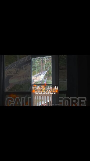 Are You Ready For The Storm? #shorts #new #viral #video #trump #storm