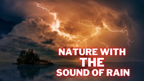 Nature with the sound of rain 2021