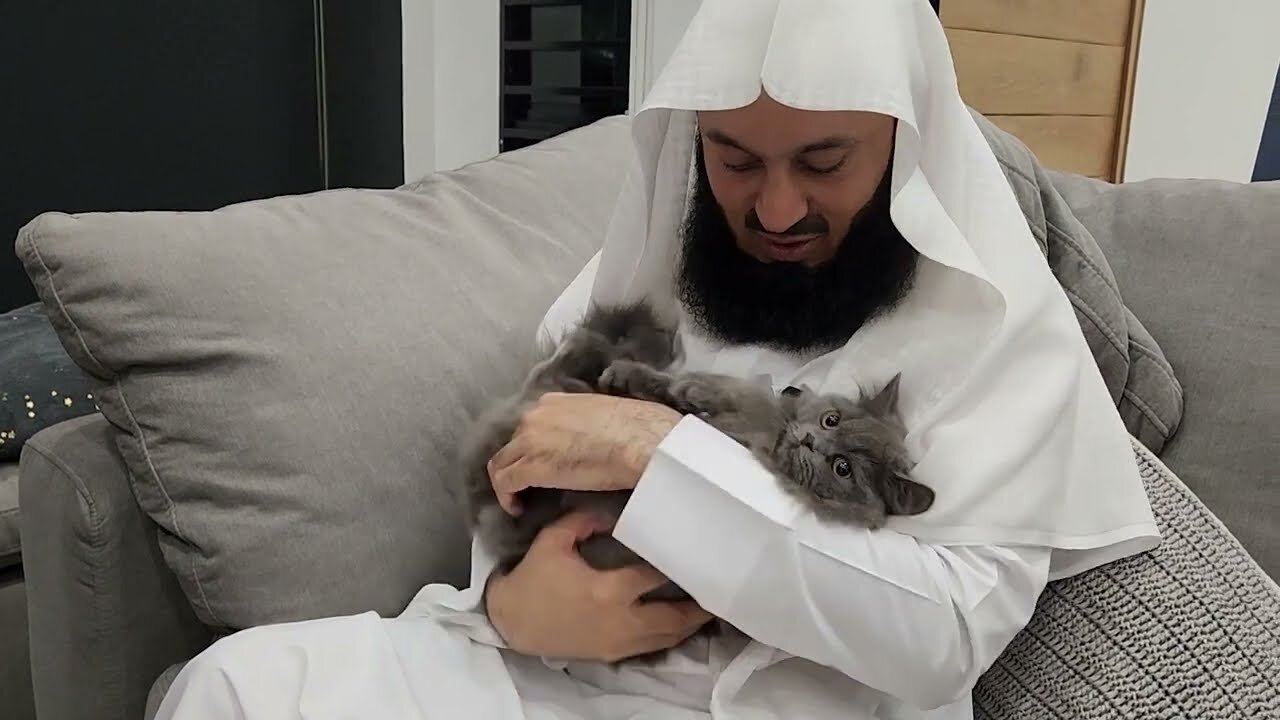 The most adorable cat on the planet??? 😺 Mufti Menk in Trinidad 🇹🇹