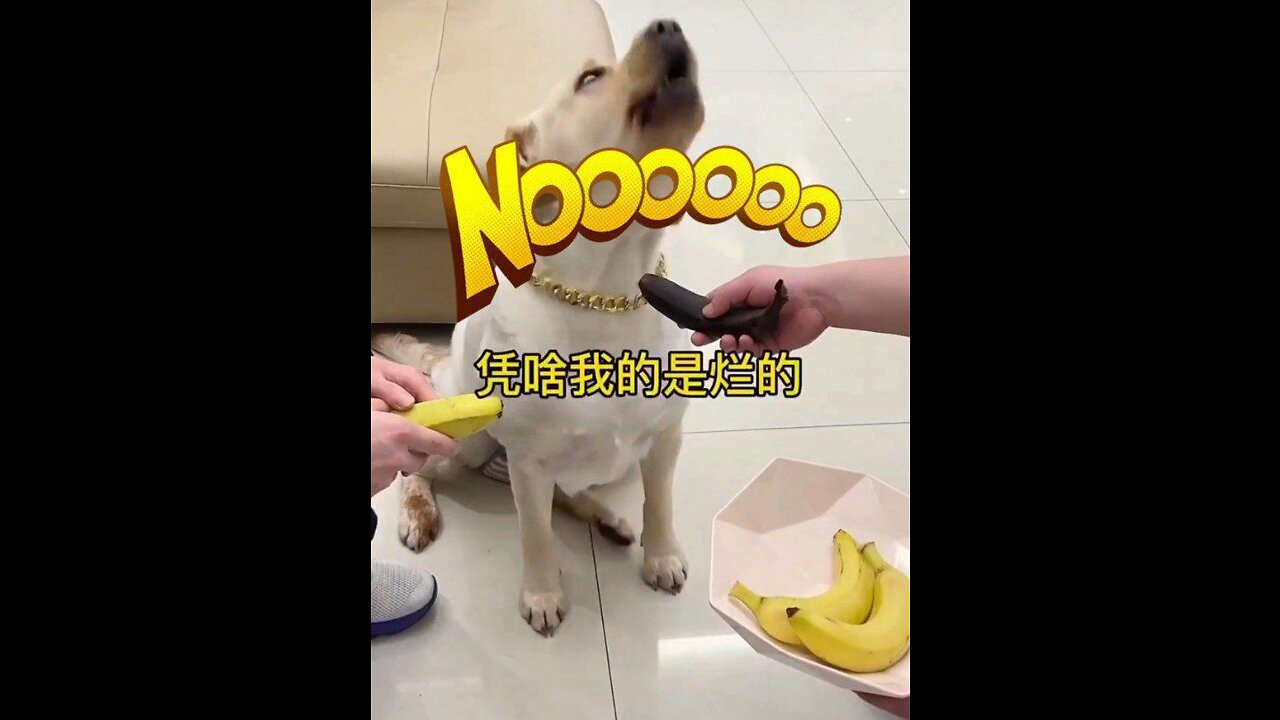 Dag🤣🤣😅