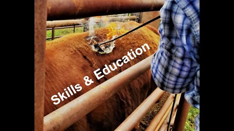 Skills & Education for Ranching (In the Chute - Round 70)