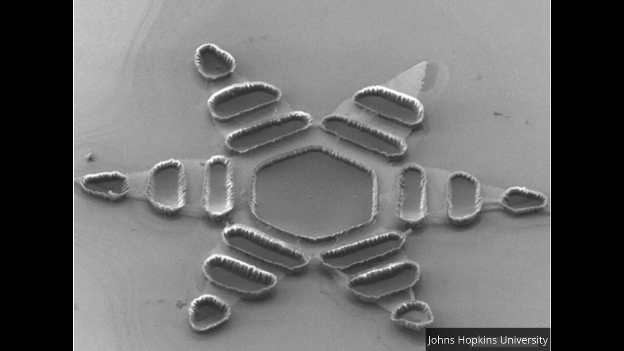 blood-brain barrier terragrippers in the masks