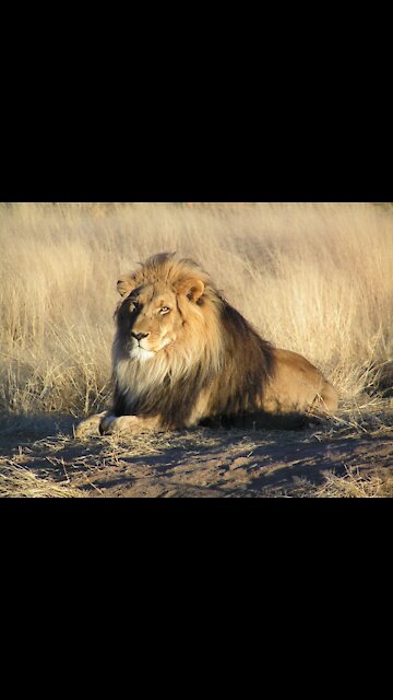 When woman say no it means noooo