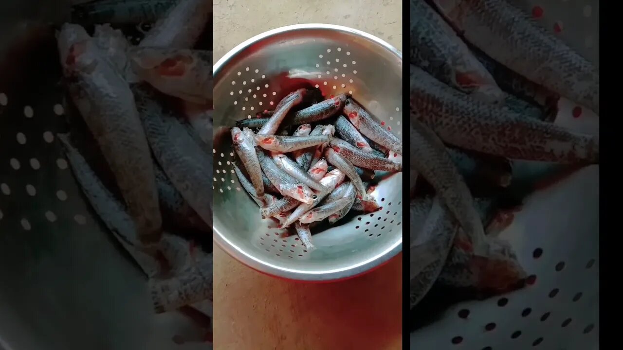 @BENGALCOOKING#fish #fishrecipe #shorts #youtubeshorts #viral #viralshorts #bengalcooking