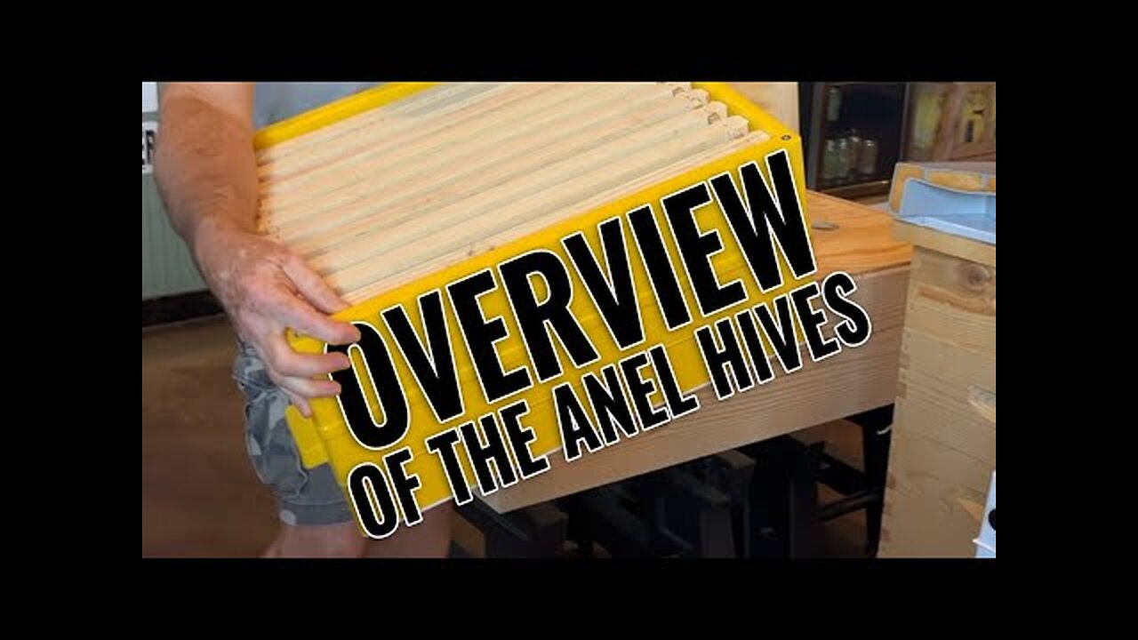 Overview of the Anel Hives sold at Central Beekeepers Supply, Insulated Plastic Bee Hives