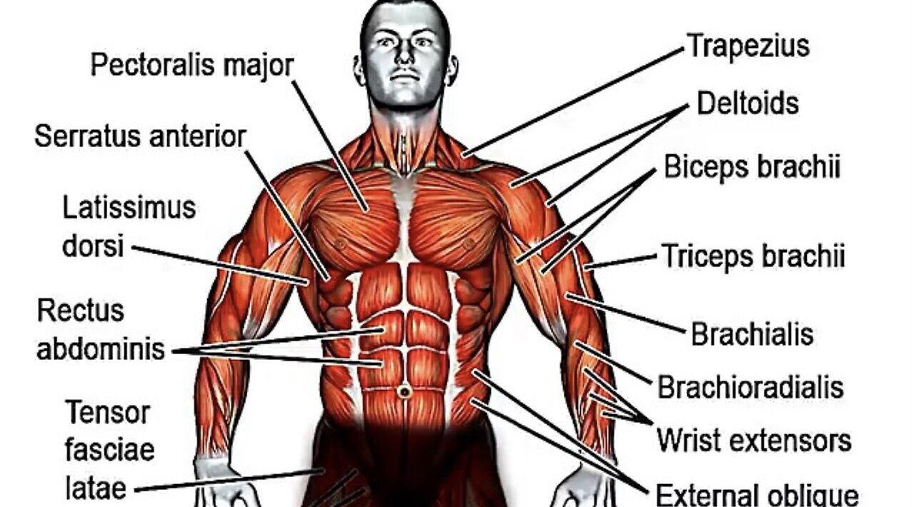 Fast Morning Exercise for full body