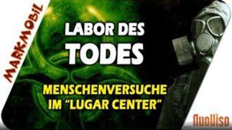 Einfach unglaublich...